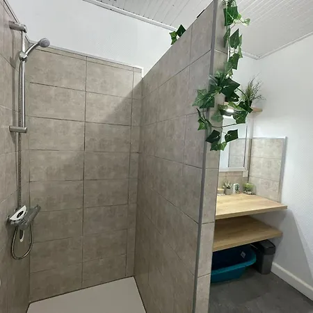 Holiday home Avec Jeux Et Terrasse A La Guittiere - Fr-1-426-567 *